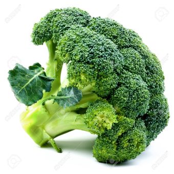 Fresh Broccoli (7-10)-1x101